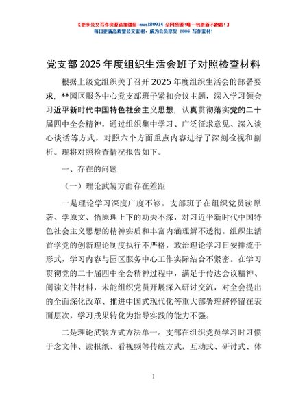 党支部2025年度组织生活会班子对照检查材料