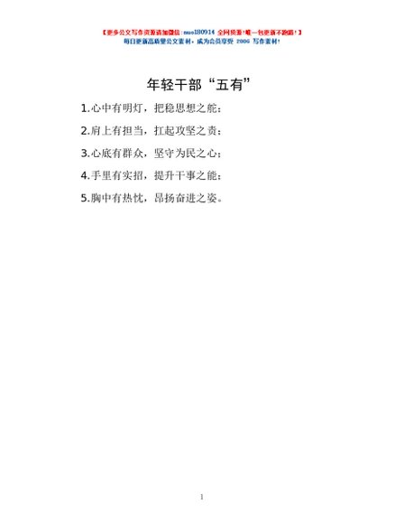年轻干部“五有”